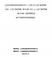 山東祥東新材料科技有限公司1.2萬噸/年6-叔丁基鄰甲(60K)、4-叔丁基鄰甲酚(偏 24 酚)和 4，6-二叔丁基鄰甲酚(偏 246 酚)烷基甲酚項目竣工環(huán)境保護驗收監(jiān)測報告